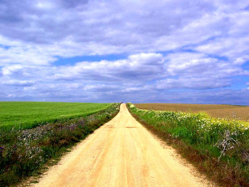 Camino de Guillena