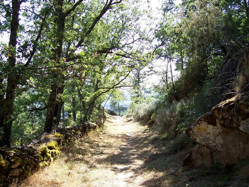 Camino de Lubián
