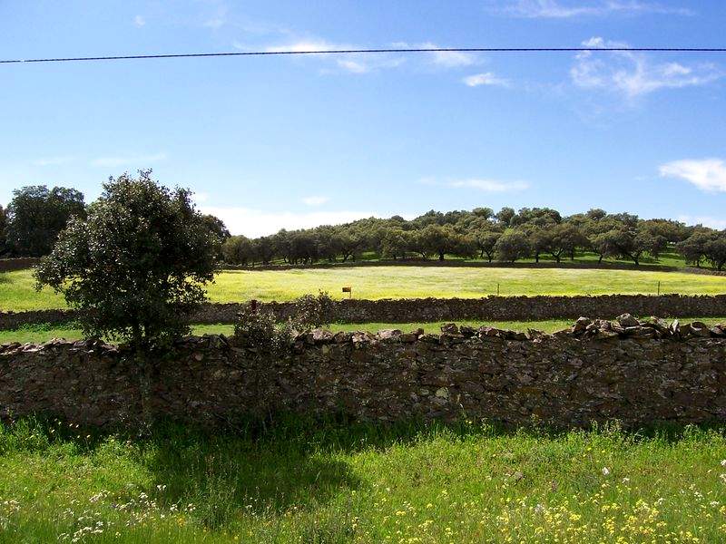Paisaje camino de El Real de la Jara