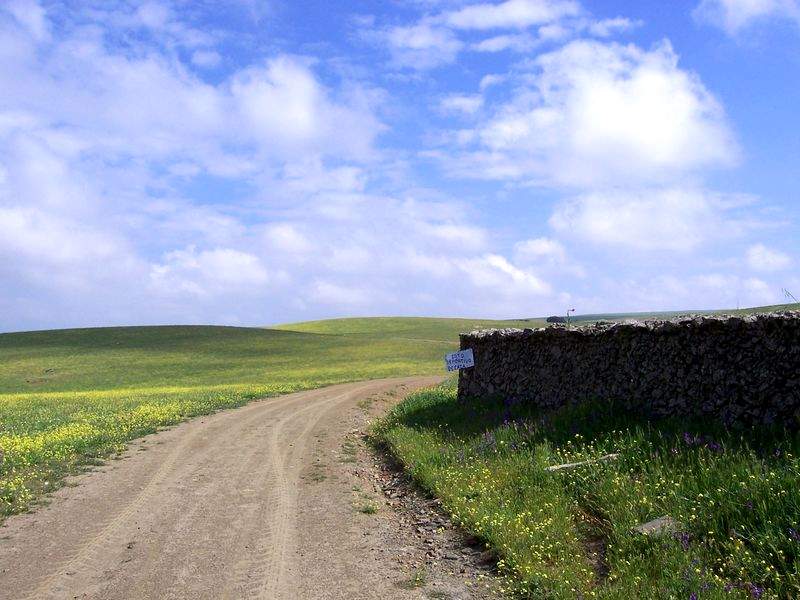 Camino y tapia