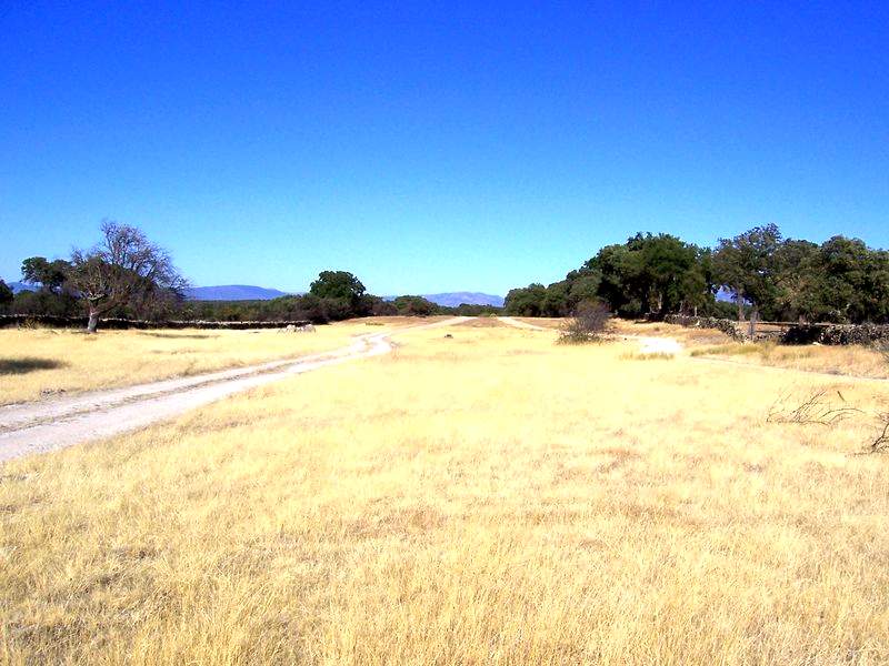 Cañada de la Vizana tras Venta Quemada