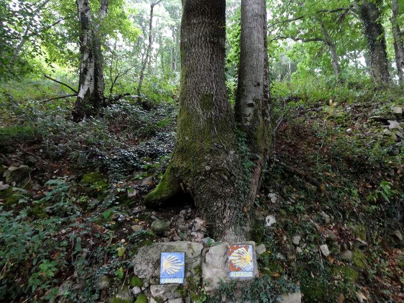 Bifurcación cerca de Peñaseita